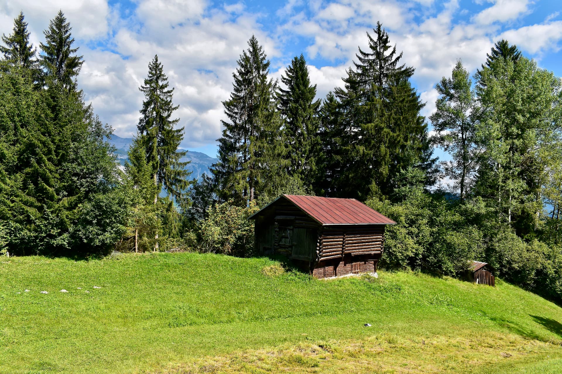Kleine Holzhütte zwischen Wiese und Wald
